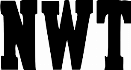 Logotype for NWT gruppen AB